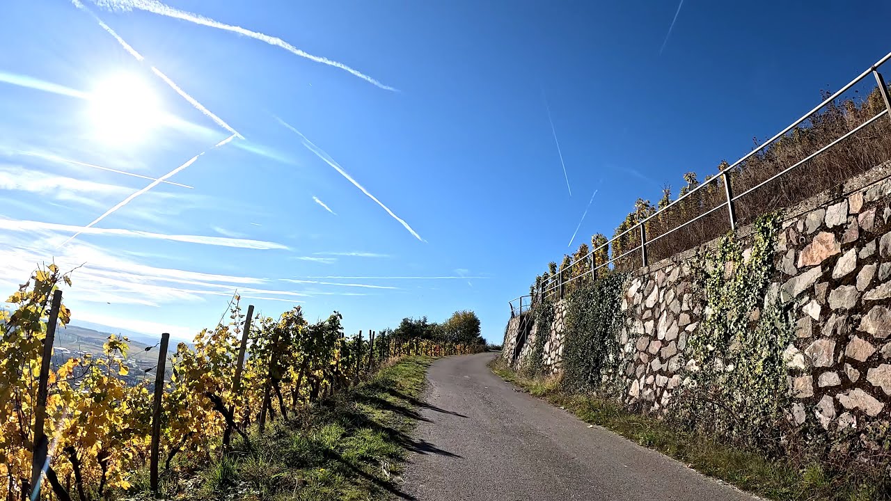 20 minute Indoor Cycling Workout Autumn 🚴&zwj;♀️🍂🍁🌞 Mosel Germany 4K Video