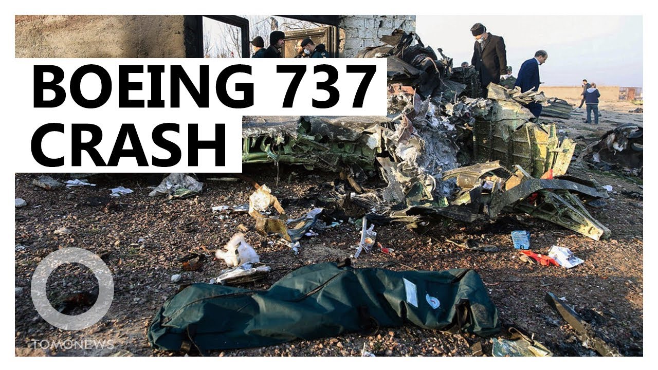 Ukrainian Boeing 737 crashes in Tehran - TomoNews