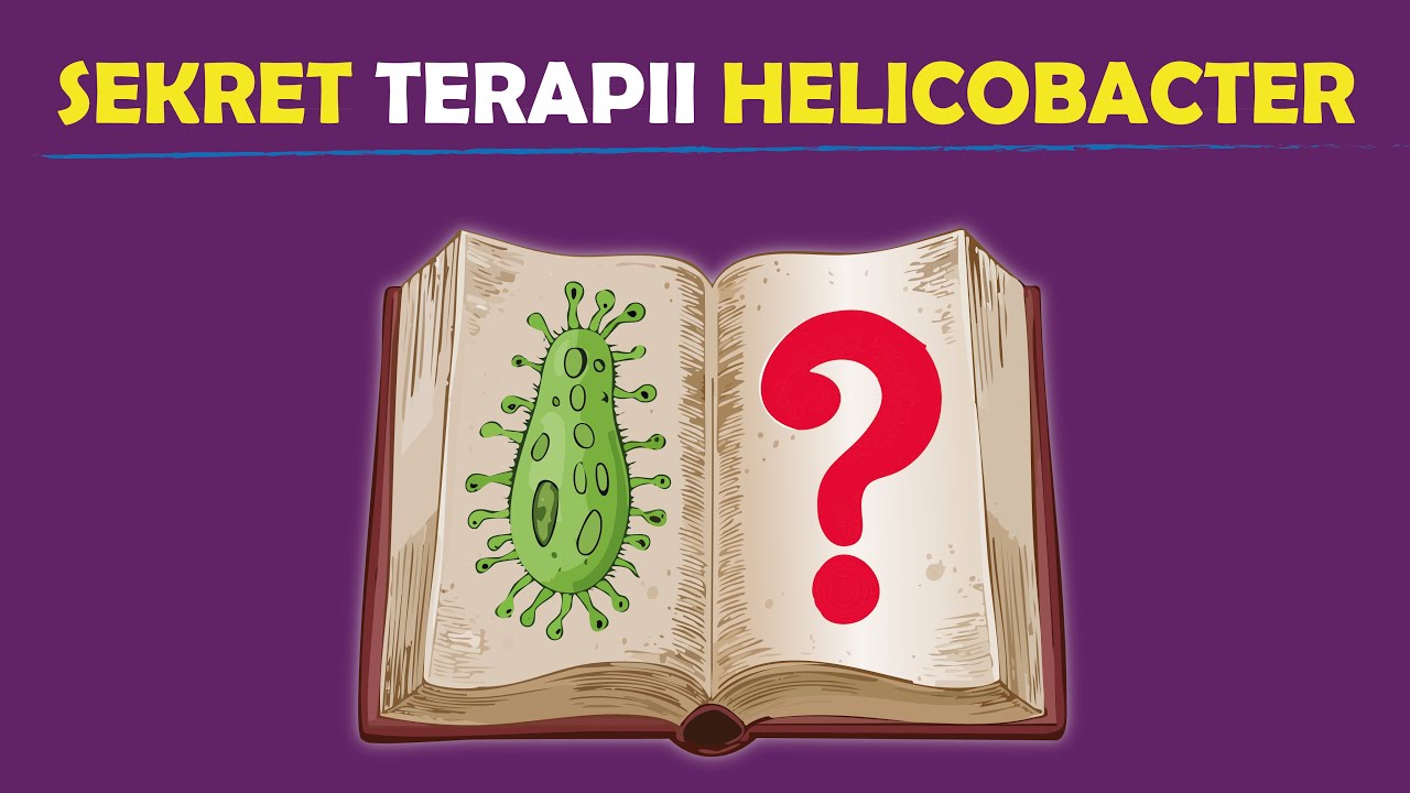 LAKTOFERYNA kontra nawet lekooporne H. pylori – dane z badań