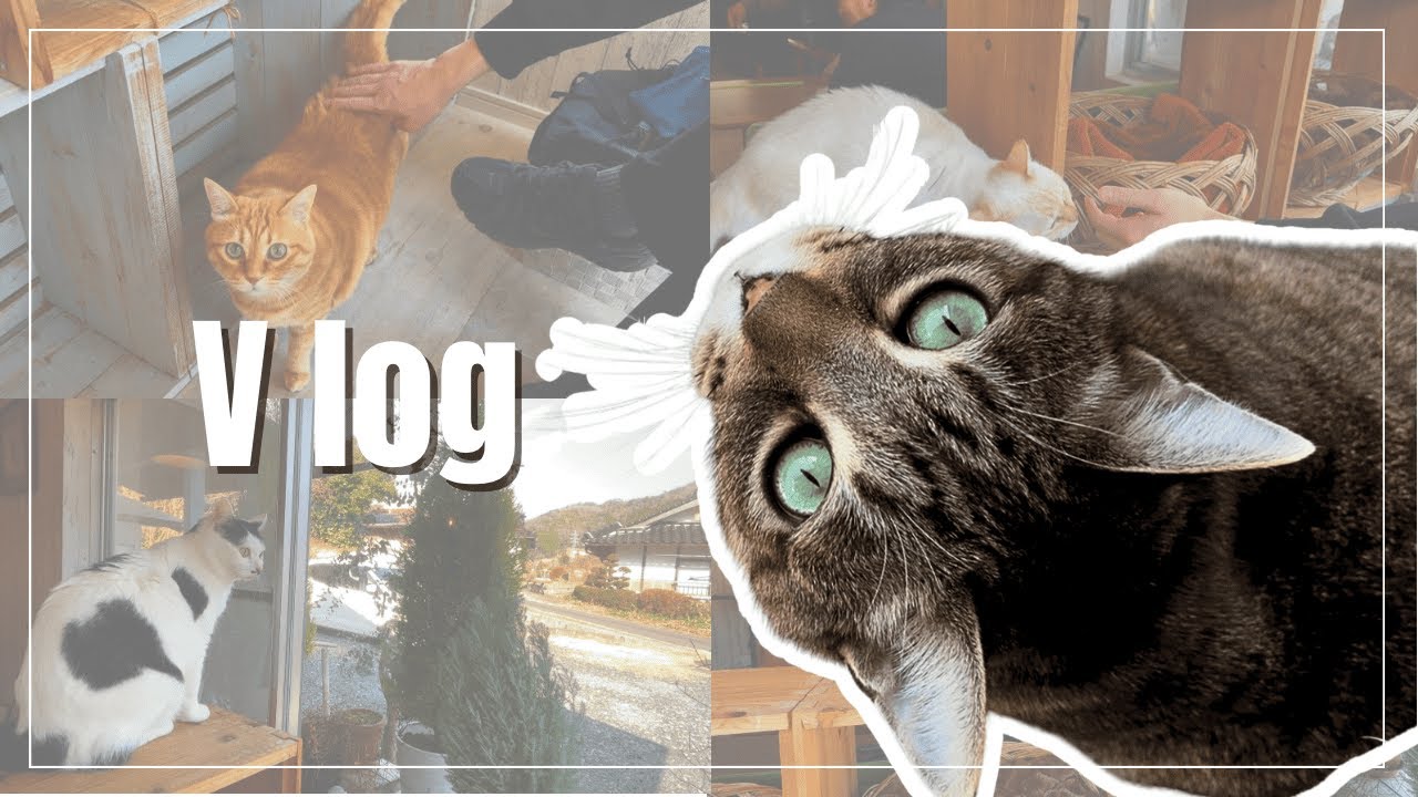休日Vlog｜ねこカフェ→Starbucks→自炊パスタ