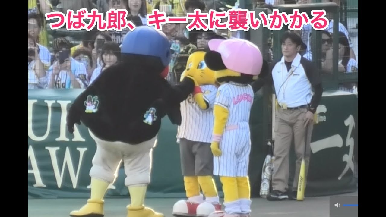 つば九郎、キー太に襲いかかる
