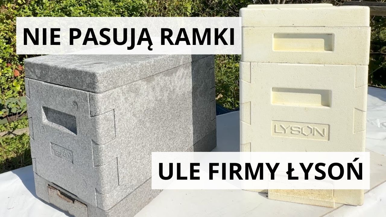 Najgorsze ule w historii polskiego pszczelarstwa? Kolejna duża wpadka firmy ŁYSOŃ