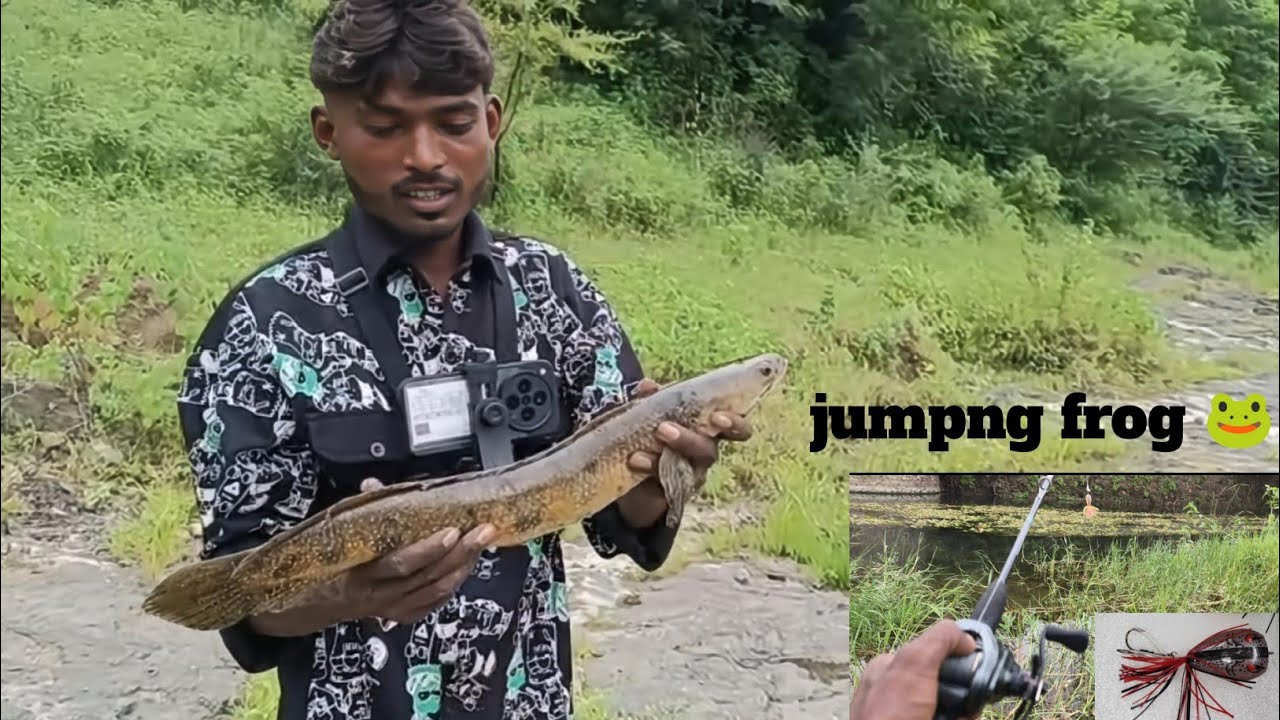 Snakehead fishing video - amazing/ jumping frog 🐸