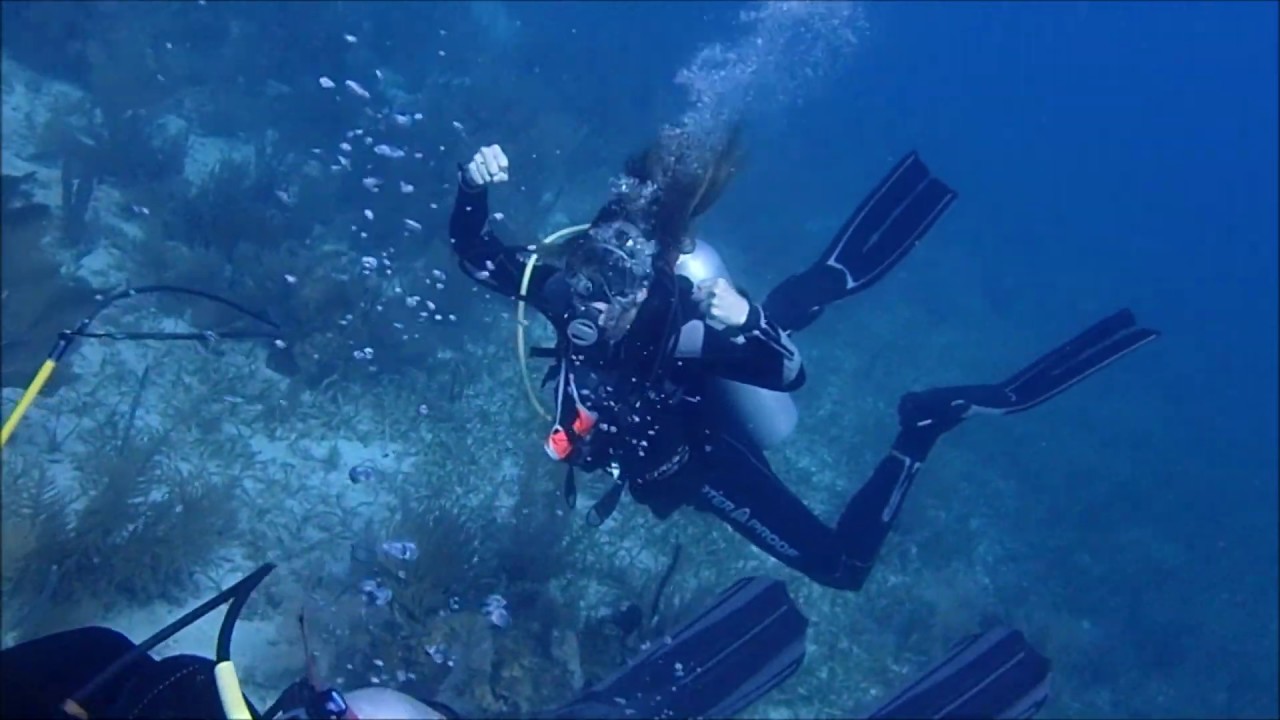 A week with Reef Ci in Belize