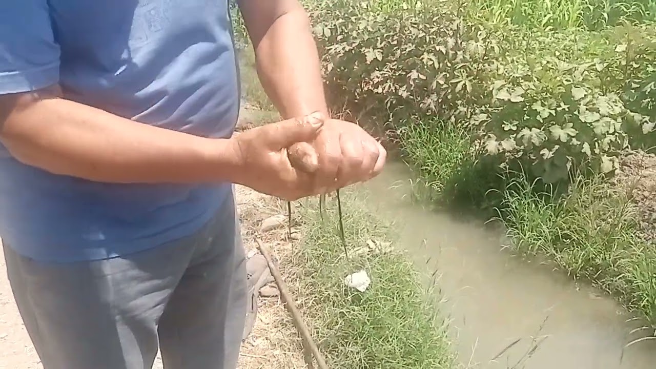 رسالة مهمه جدا للصيادين ومحترفي صيد الريمه على وجه الخصوص 🐠🐠🐠🐠🐠🐠🐠