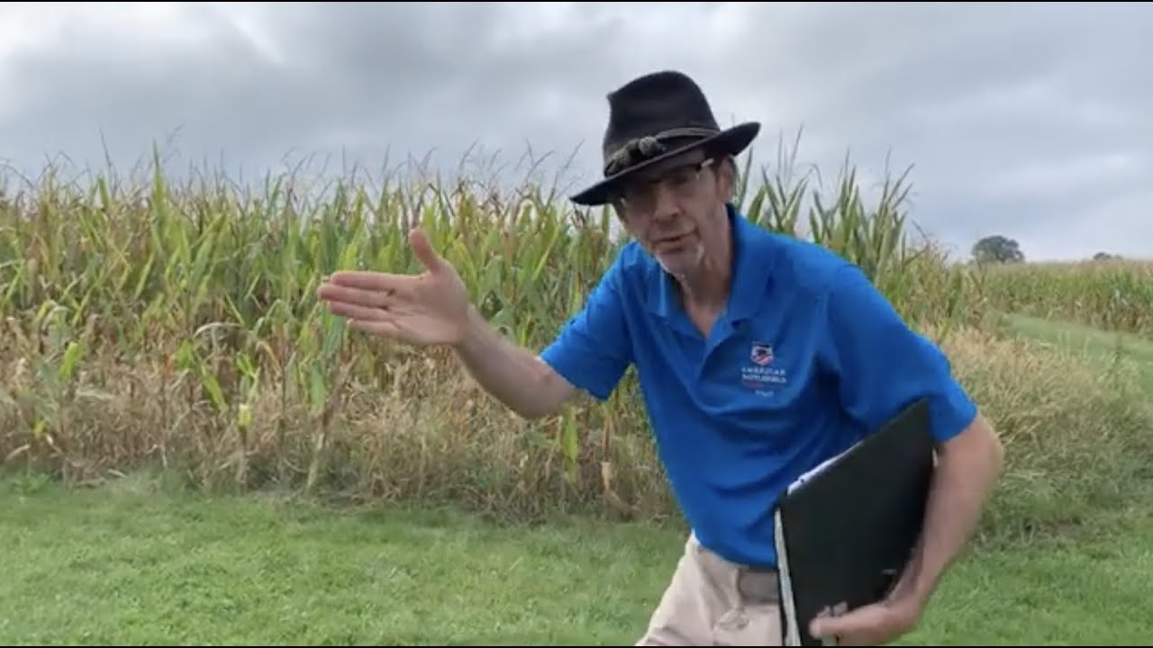 Начало концерта Unknown Antietam LIVE в The Cornfield: Unknown Antietam 159