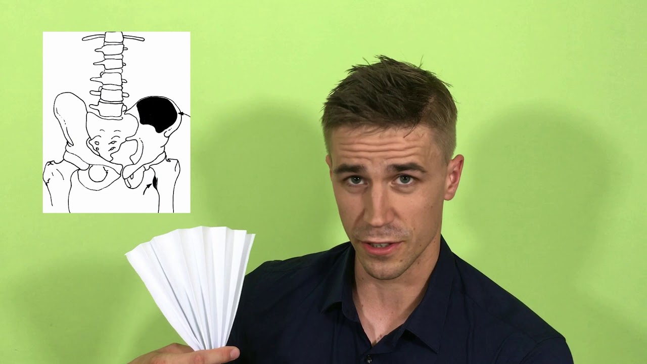 Fizjoterapia mięsień biodrowy / musculus iliacus ; odc. 42