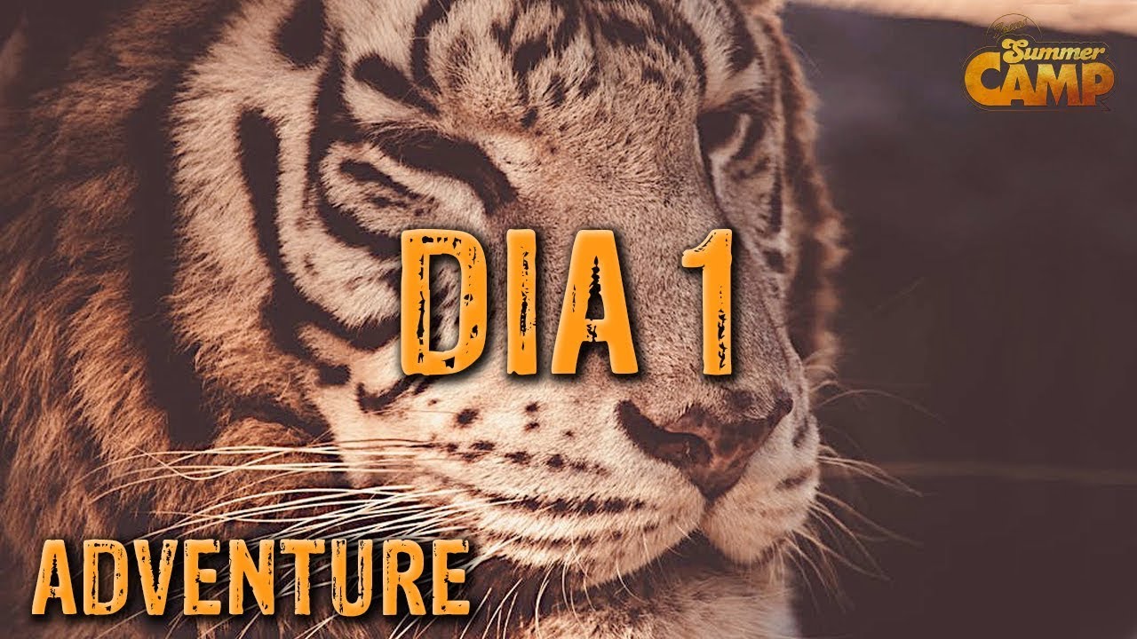 #1 - JESUS SUMMER CAMP 2019 - ADVENTURE / By Cepitta