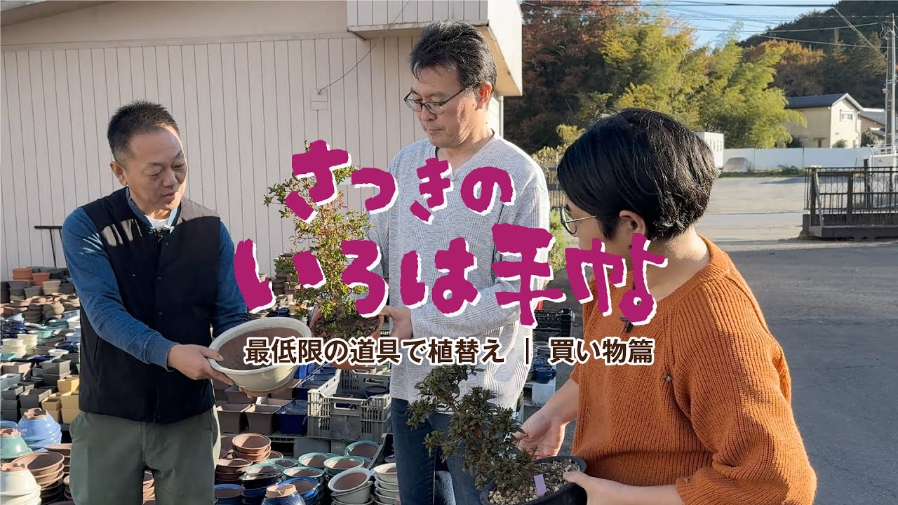 【さつき 盆栽】最低限の道具で植替え | 買い物篇【初めてのさつき盆栽】