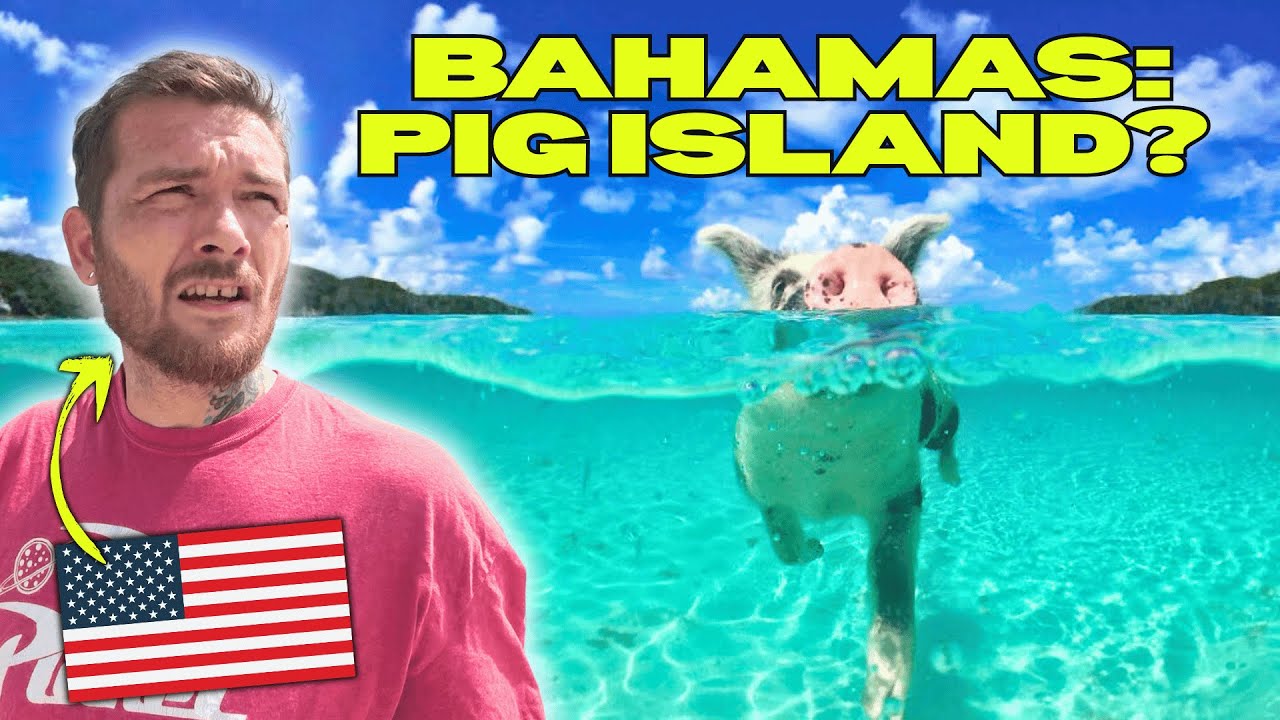 American Reacts to The Bahamas & Swimming Pigs in Big Major Cay! I Didn't Believe It Until I Saw It.
