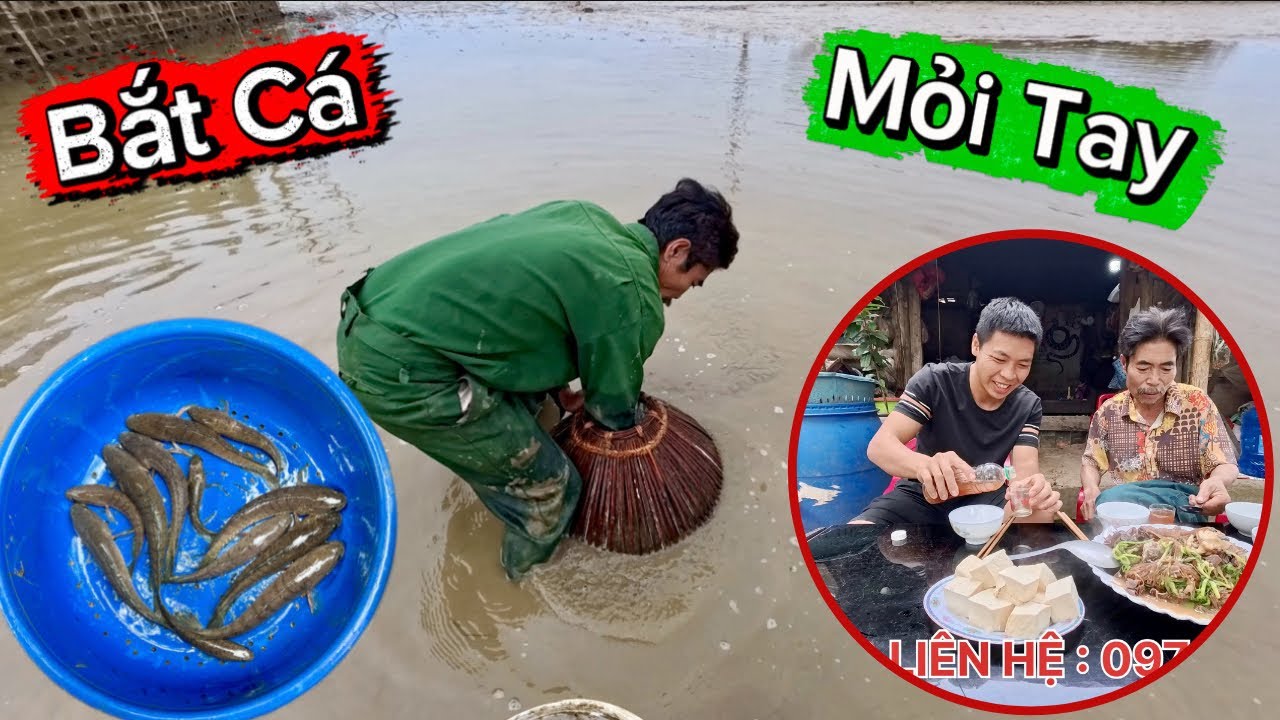 Mang Nơm Ra Chỗ Lần Trước Để Úp Và Cái Kết Bắt Cá Mỏi Tay | Cá Lóc Xào Rau Cần Món Ăn Dân Dã Mà Ngon