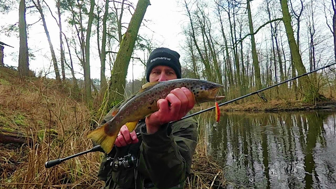 Pstrągi kontra Stick Dorado | Jak złowić łowić pstrągi zimą | Pstrąg na wobler | Super przynęta!