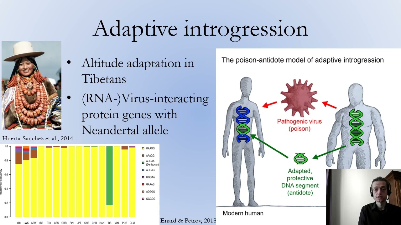 Admixture In Genomes - How to Find it and What It Means. Prof. Martin Kuhlwilm.