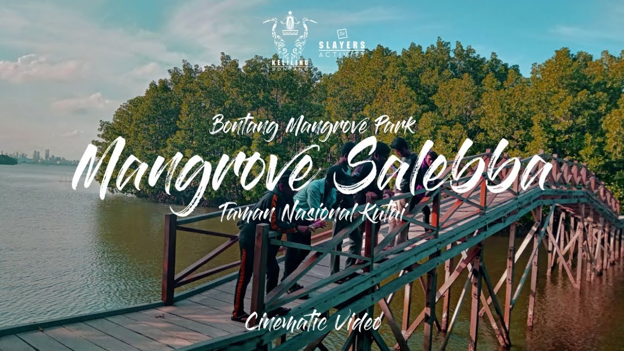 KELILING BONTANG #4 | TAMAN NASIONAL KUTAI BONTANG MANGROVE PARK SALEBBA-SAI