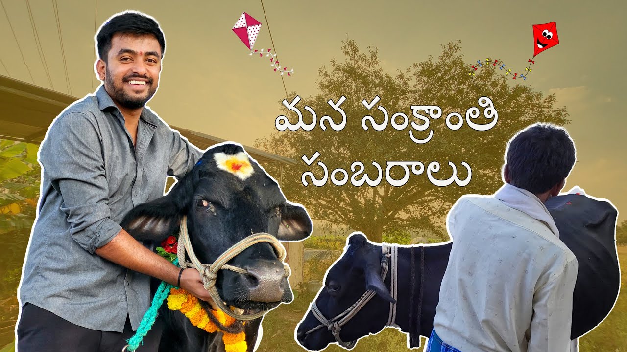 మన సంక్రాంతి సంబరాలు ❤️ | Sankranti Vlog 😂 | Tamilnadu Lo Telugodu