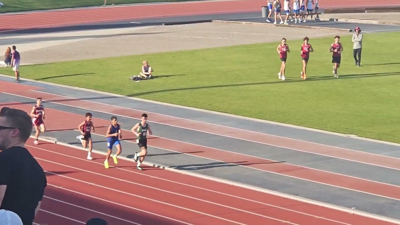 1600M Buchanan Diatance Classic 