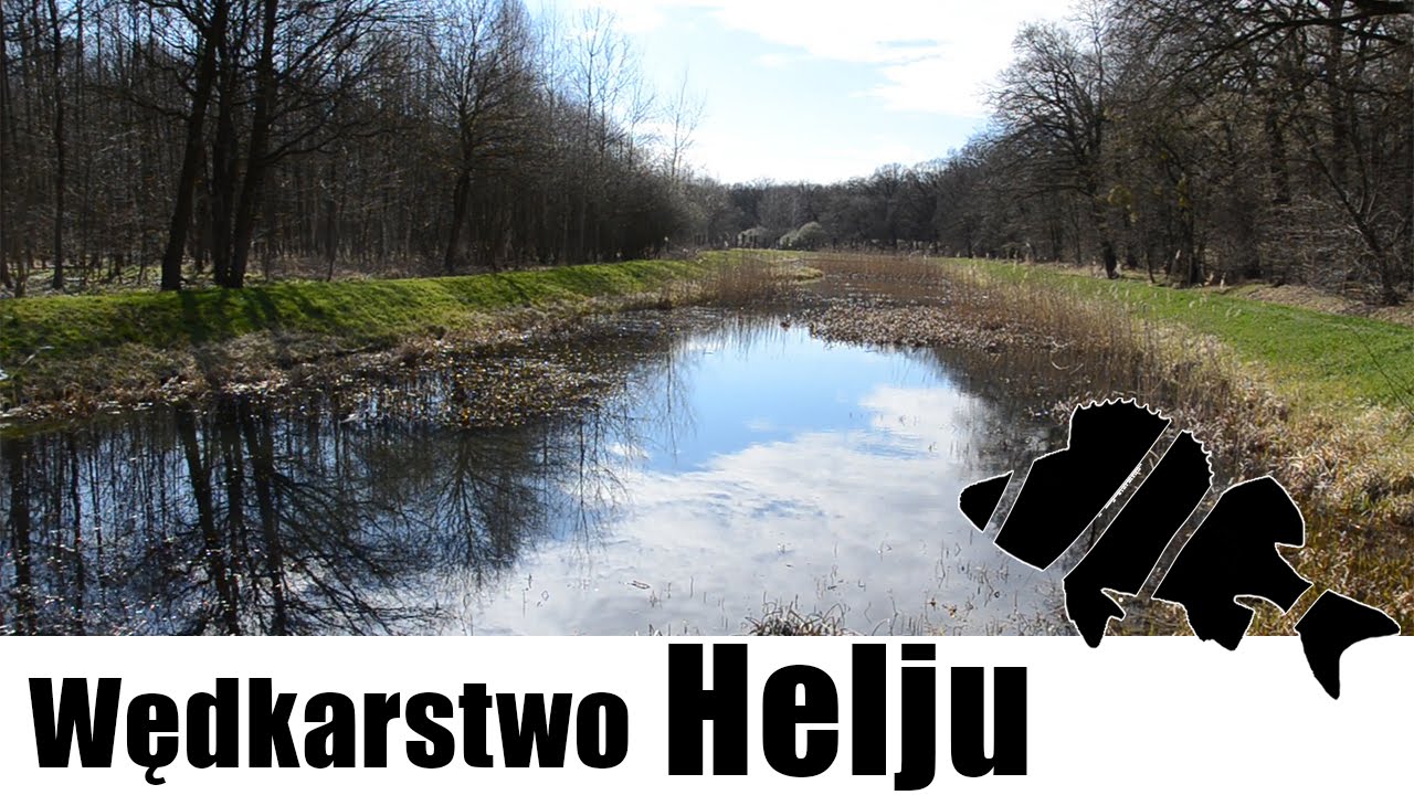 Opuszczony Staw Leśny zniszczony przez Sumiki Karłowate (Byczki) - Wiosenne Wędkarstwo Spławikowe