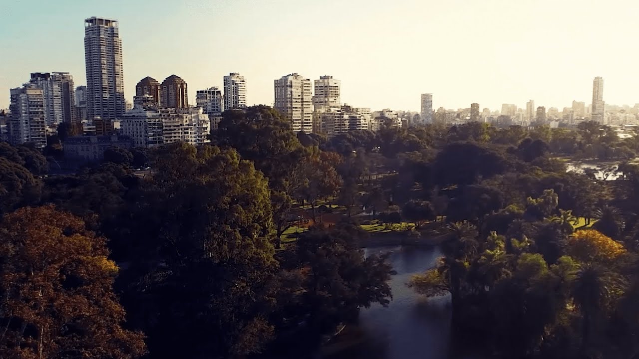 Miranda Bosch - Tu lugar en el mundo
