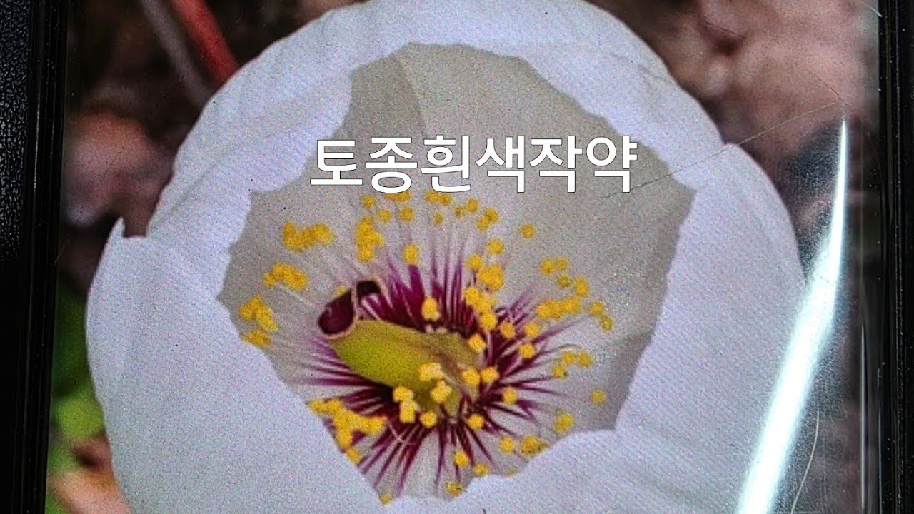 2026년 3월 8일