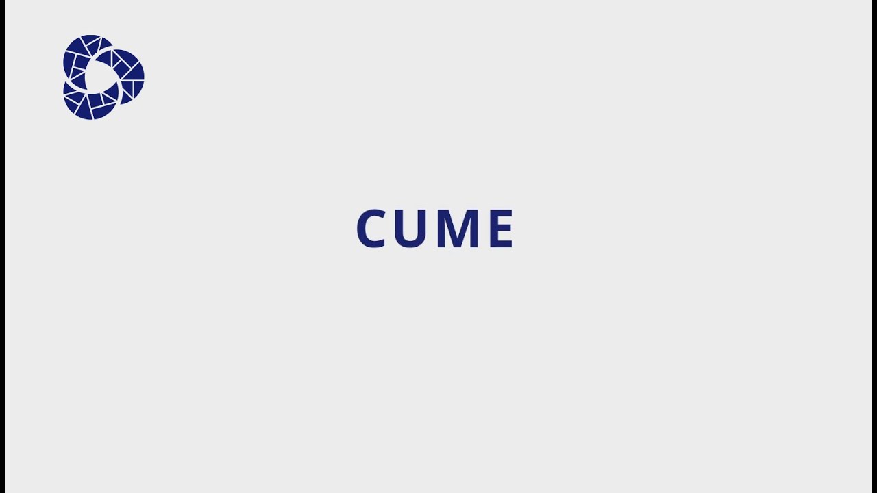 CUME (Cuidado de menores afectados por c&aacute;ncer u otra enfermedad grave)