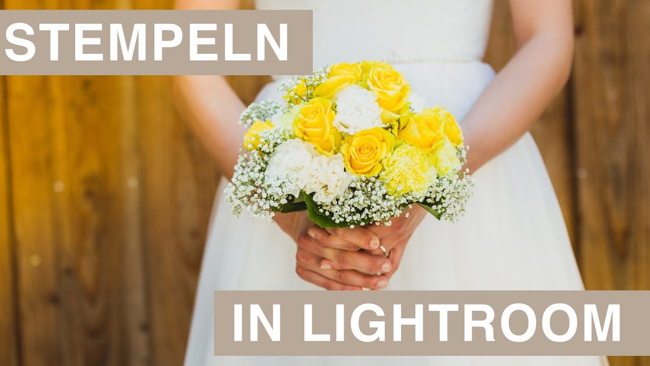 Das Stempel Werkzeug in Lightroom