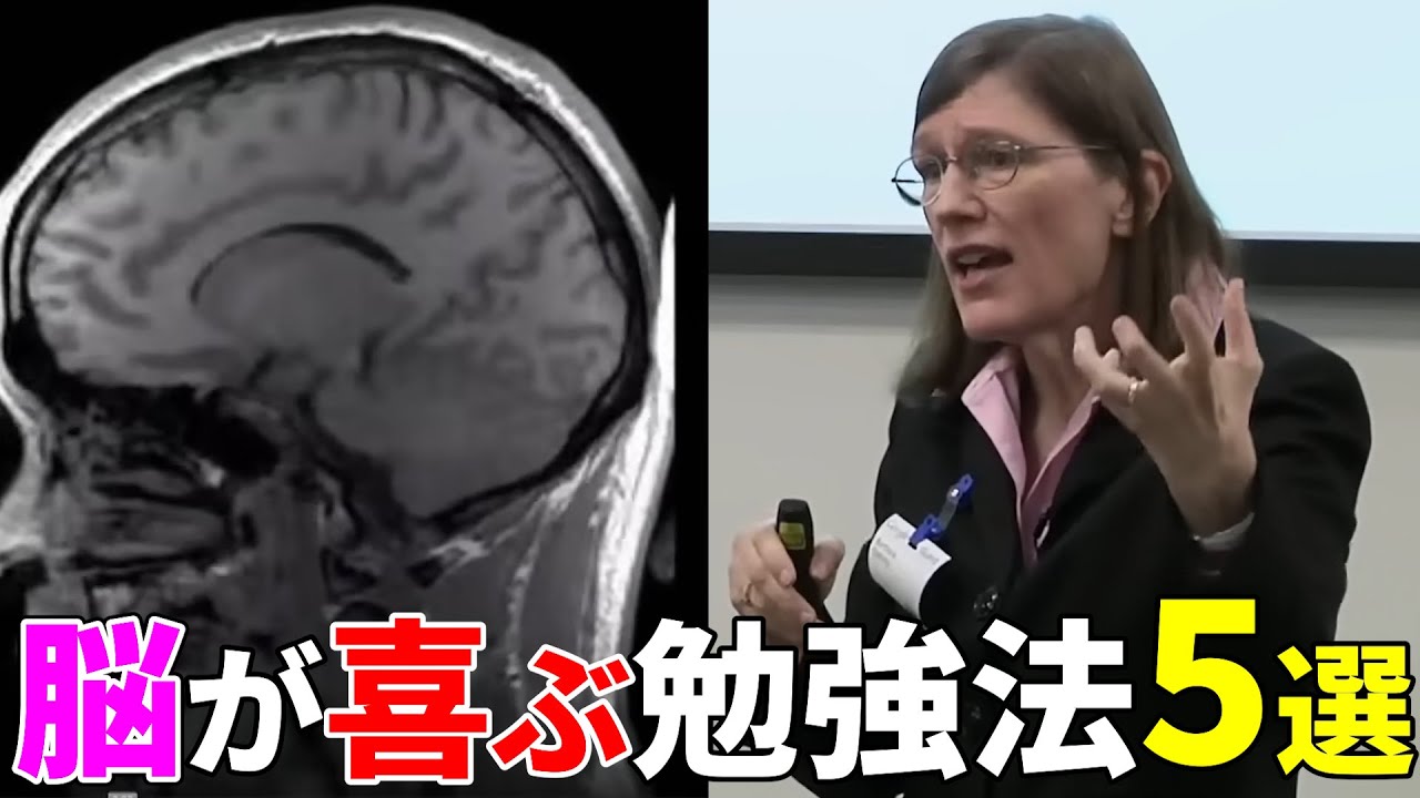 300万人が学んだ！脳科学が教える最強の勉強法5選【学習効率が劇的に向上】