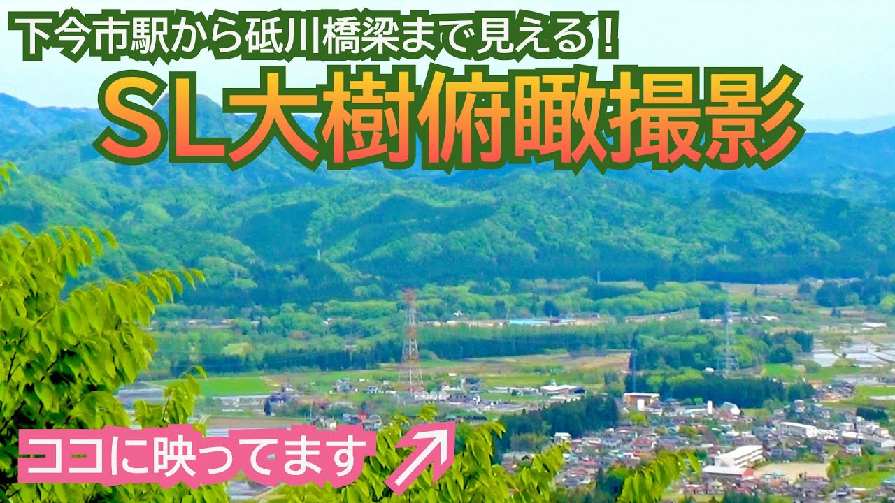 【東武鉄道】日光市の山からSL大樹を俯瞰撮影する