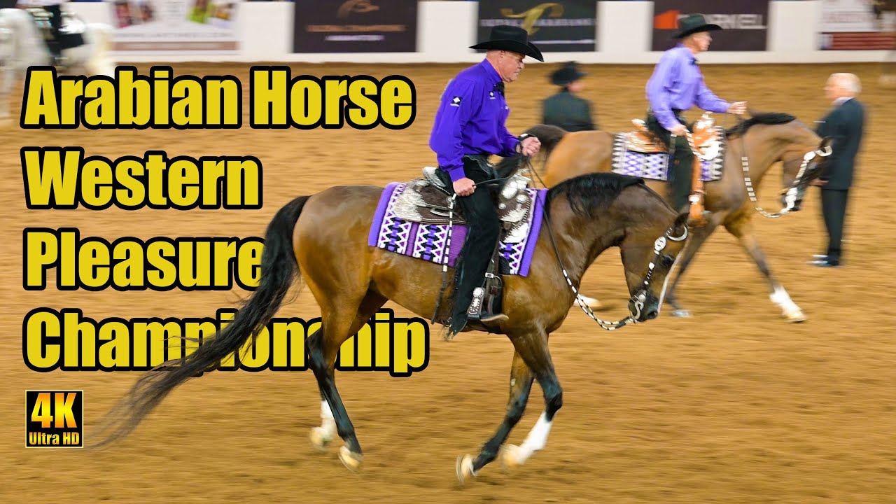 Arabian Western Pleasure Championship - Scottsdale Arabian Horse Show
