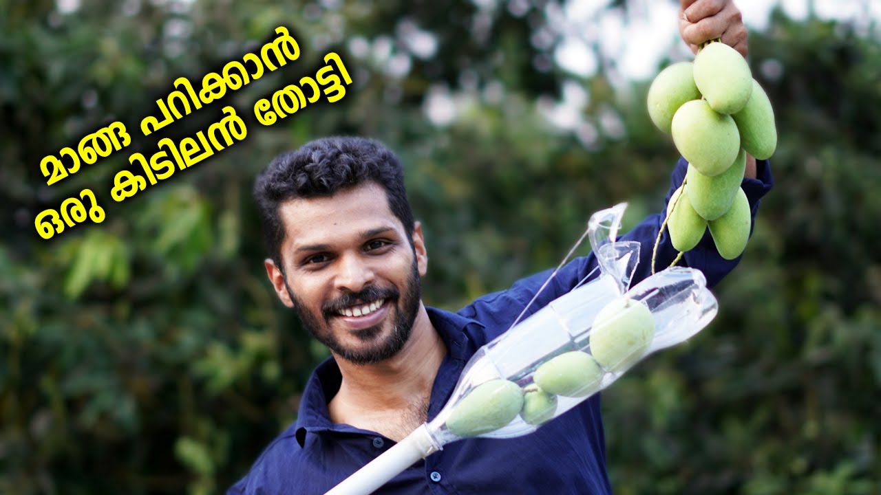 ഈ തോട്ടി ഉണ്ടെങ്കിൽ പഴങ്ങൾ നിലത്ത് വീഴാതെ എളുപ്പത്തിൽ പറിക്കാം | How to make Fruit Picker | Thotty
