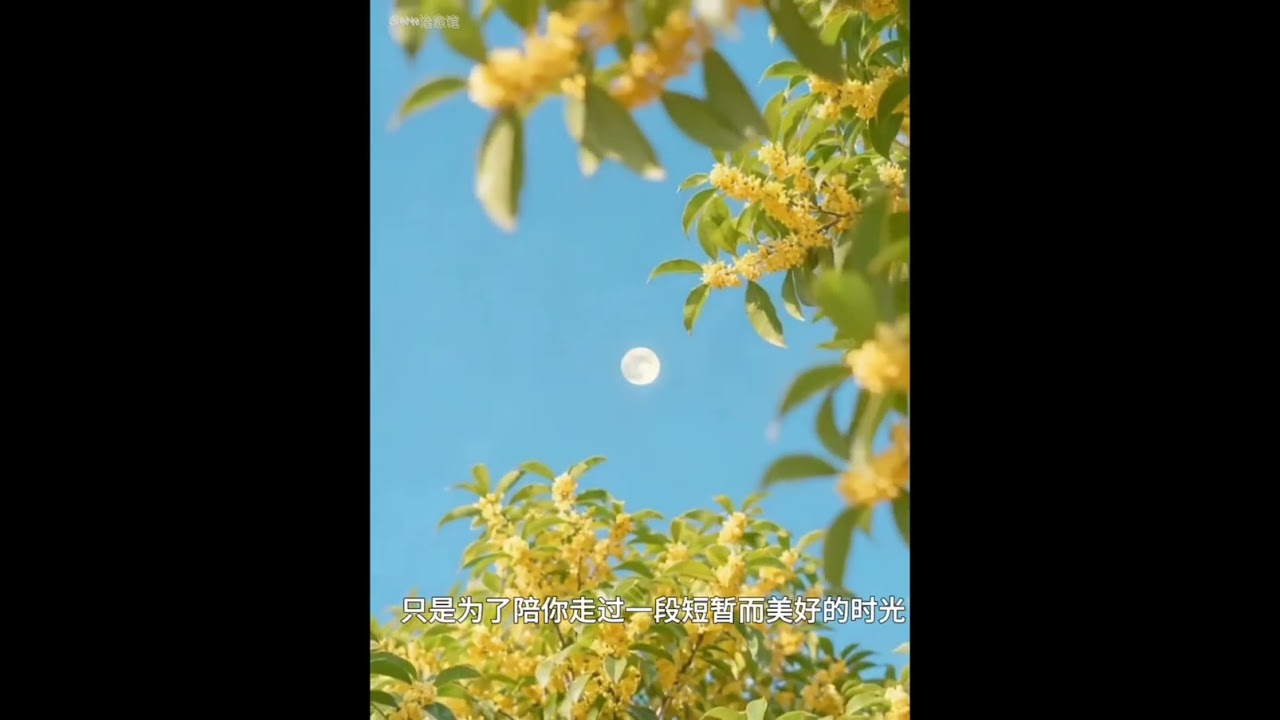 不顺路了而已，别把离开看得太重 #文字的力量 #情感共鸣 #读书 #治愈 #emo治愈馆