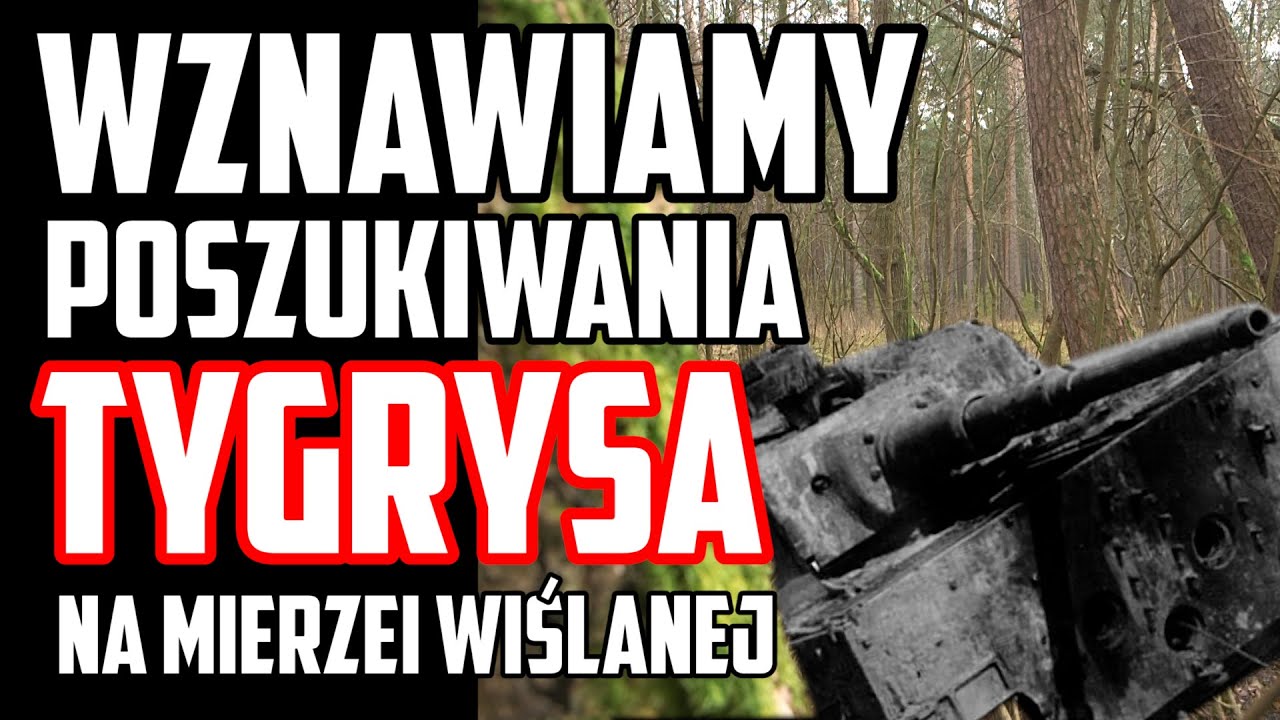 TANK HUNTER #197 Tygrys zniszczył tu 10 czołgów!