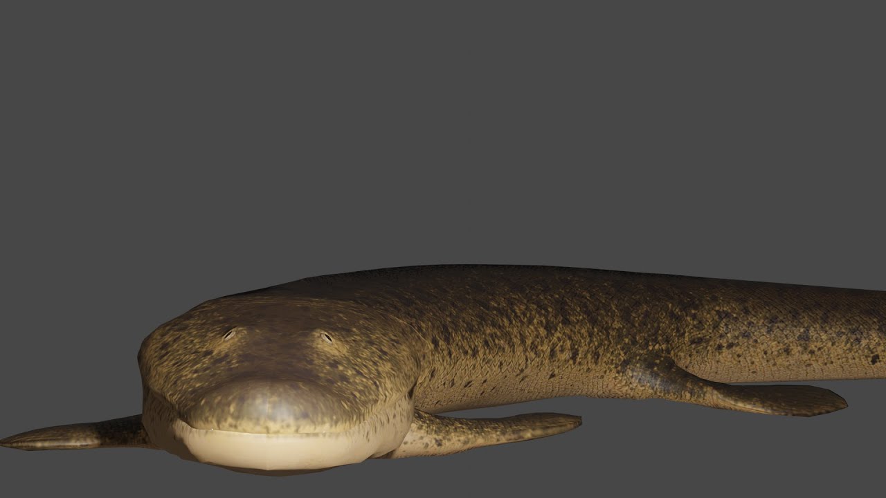 Tiktaalik eating Fish Animation test