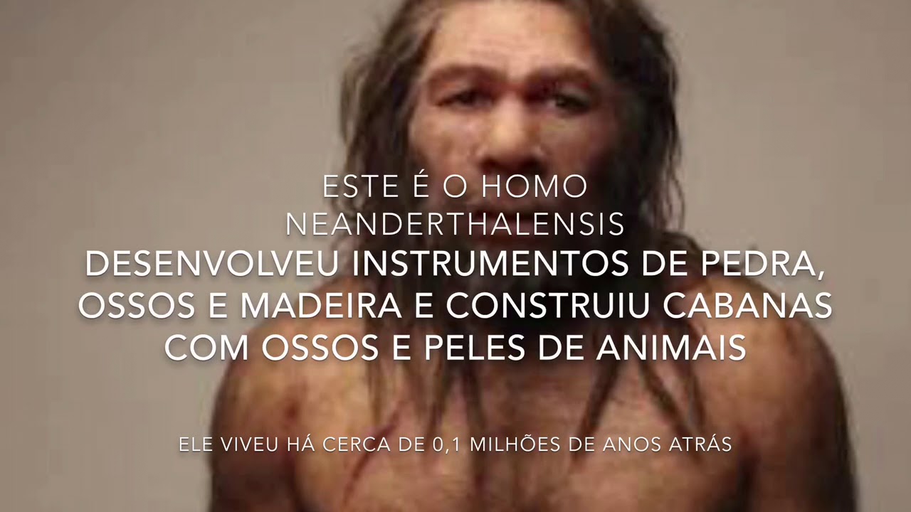 Evolu&ccedil;&atilde;o do Ser Humano: Dos Primeiros Homin&iacute;deos ao Homem Moderno