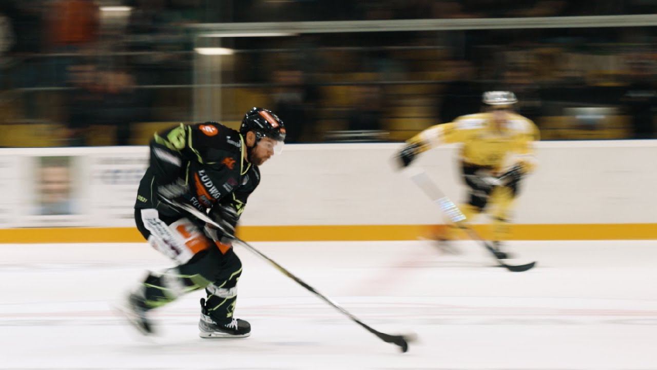 Einlauftrailer der Höchstadt Alligators