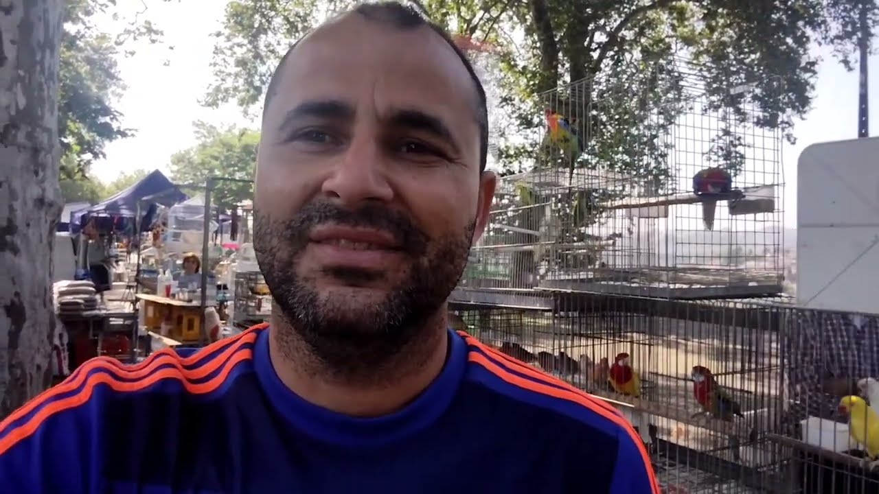 FEIRA DE AVES,😱PORTO - SÃO BENTO . FREGUESIA DE PARADA.