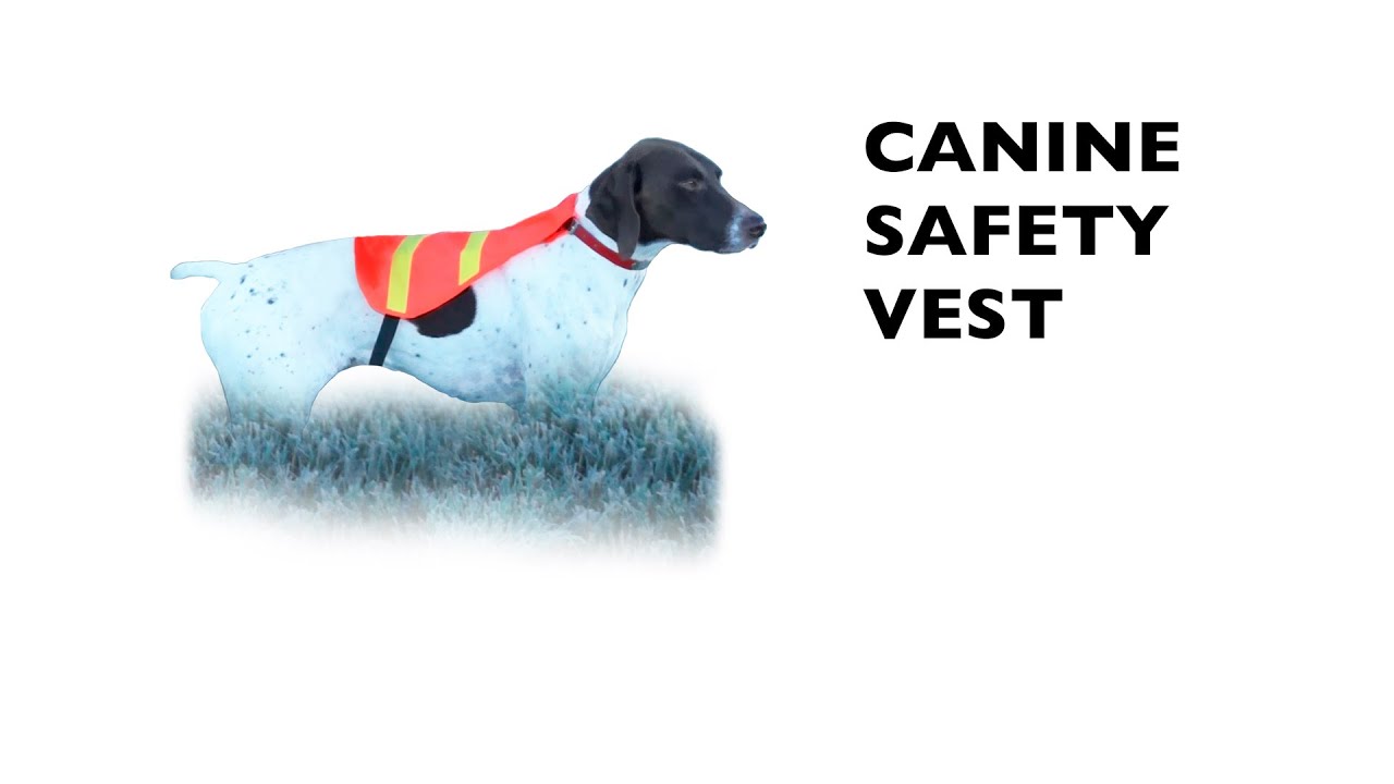 Scott Canine Safety Vest