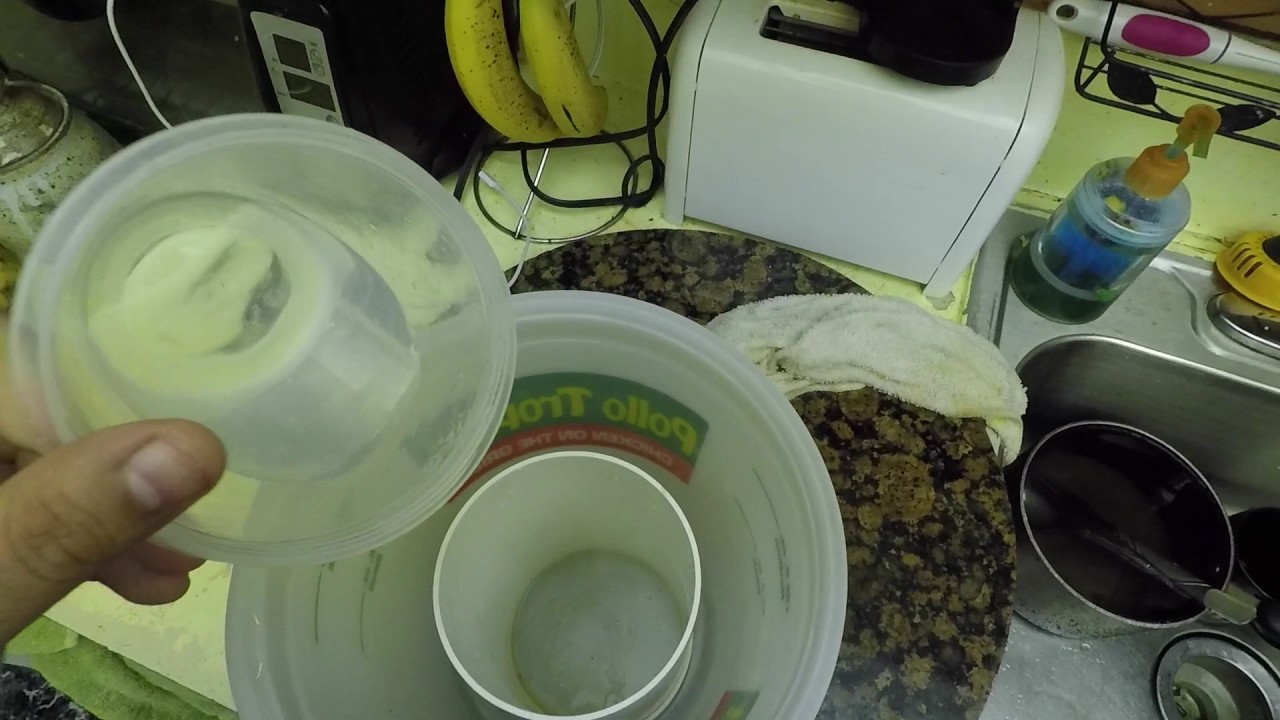 Clownfish Breeding Series - Days Post Hatch (D.P.H) 1 - 3