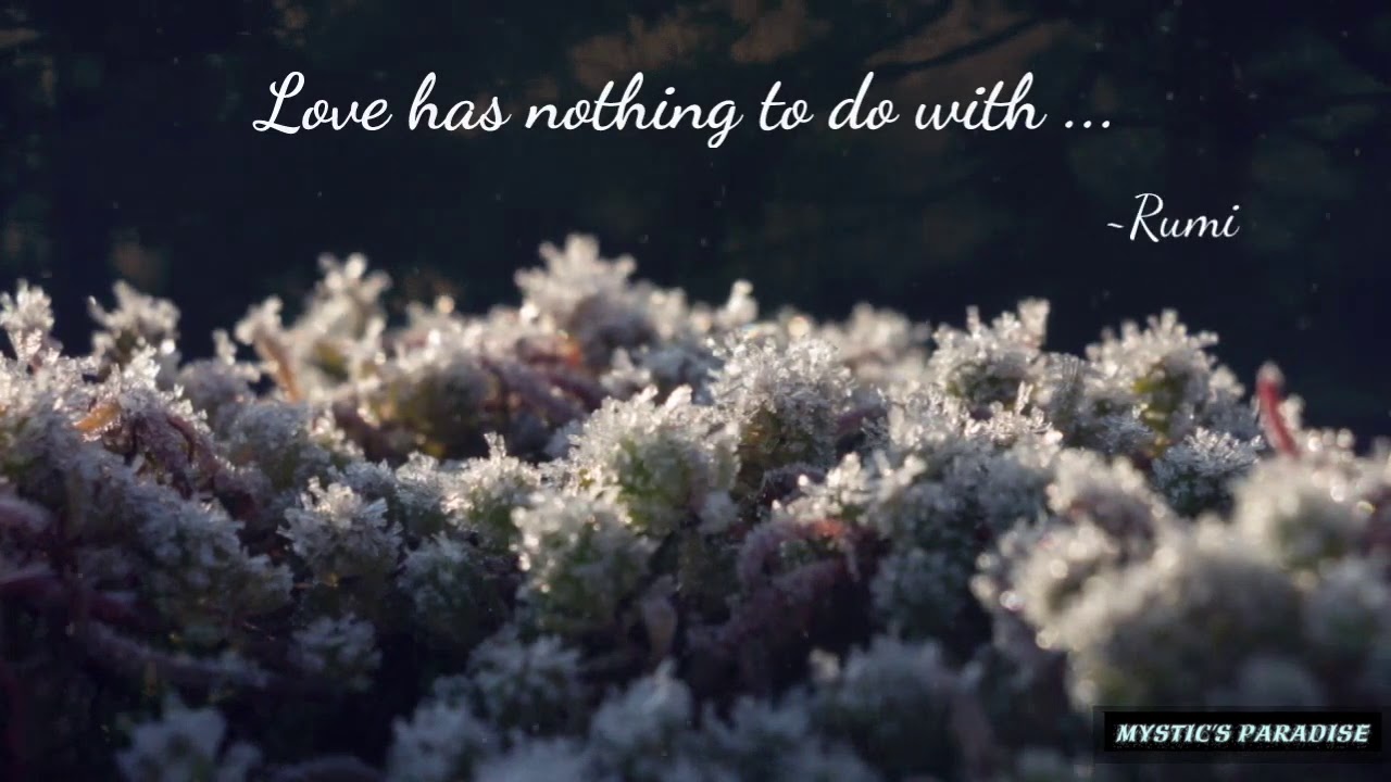 Love has nothing to do with. | Rumi #RumiQuotes #RumiWisdom #Mysticsparadise #SufiWisdom #RumiLove