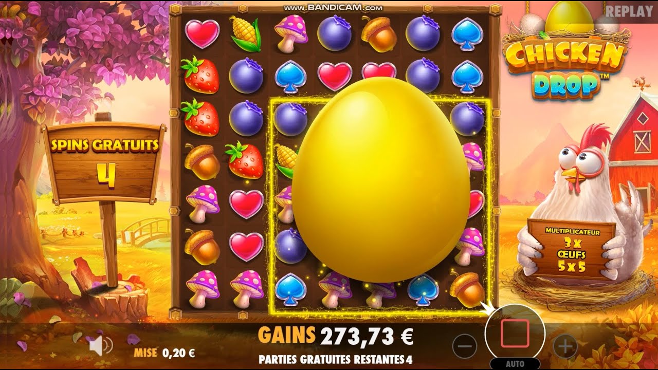 Chicken Drop Big Win