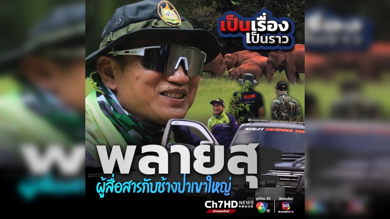 เปิดใจ พลายสุ ชายผู้สยบช้างป่าเขาใหญ่ | เป็นเรื่องเป็นราว