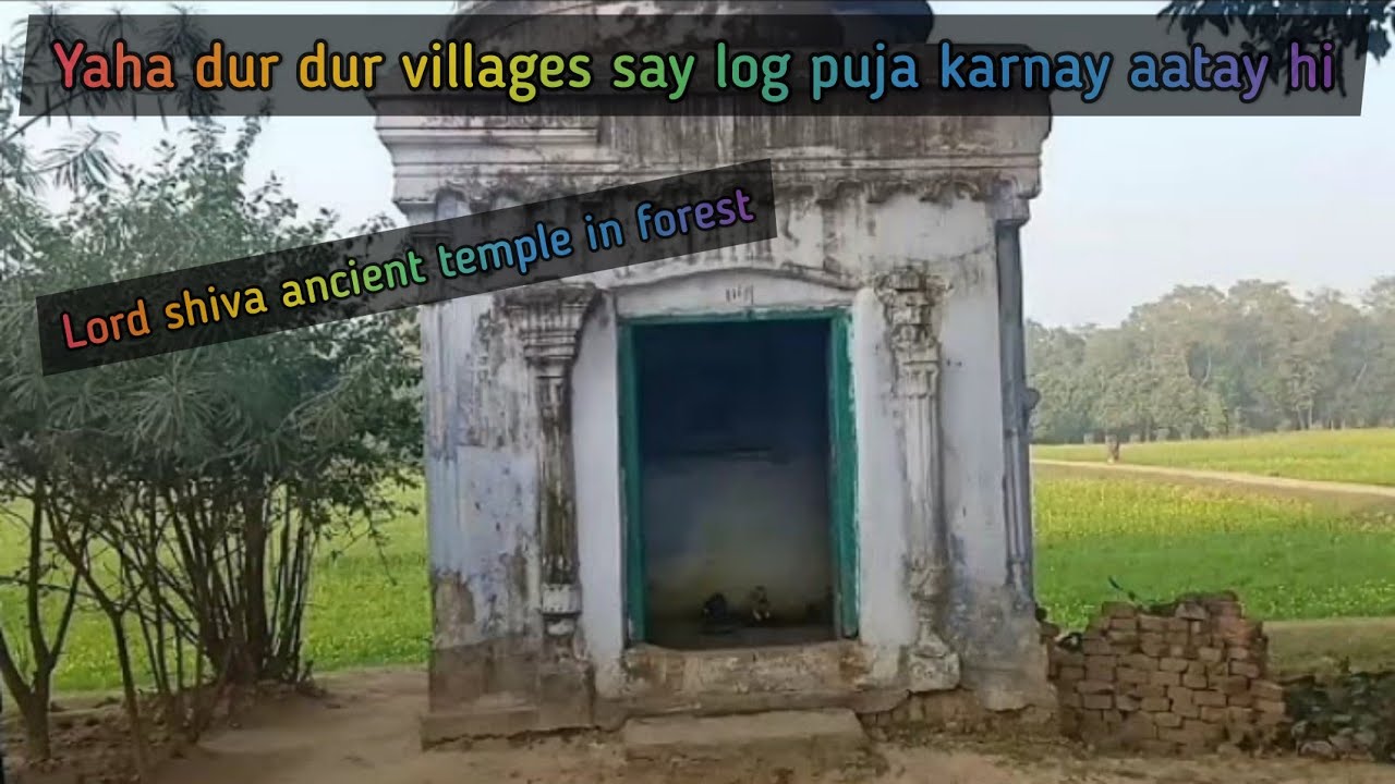 Ancient shiva temple in forest | Shiva Temple