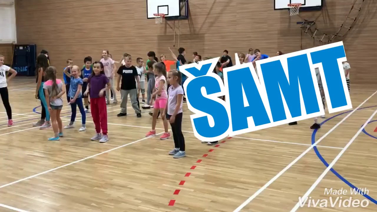 &Scaron;AMT