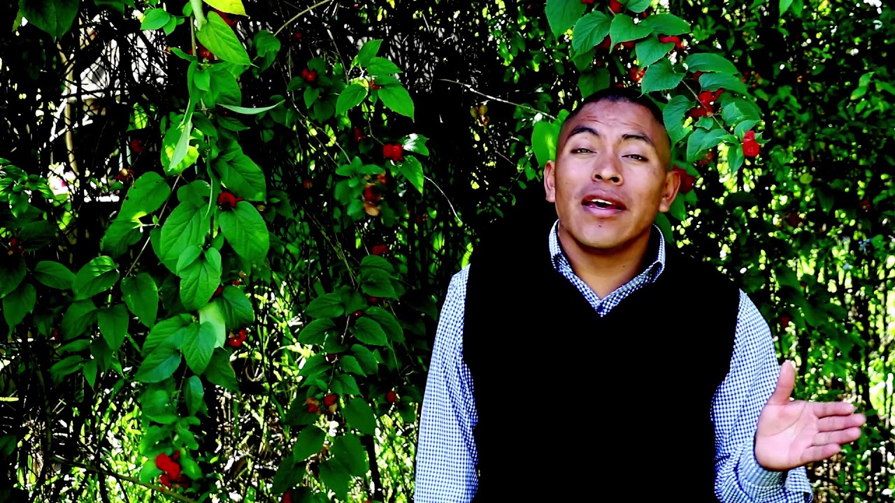 Cantante y Evangelista Cristobal maldonado vol 7  Lampara es a mis Pies