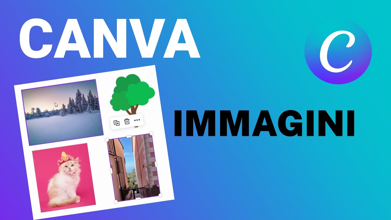 Come utilizzare FOTO e immagini con CANVA