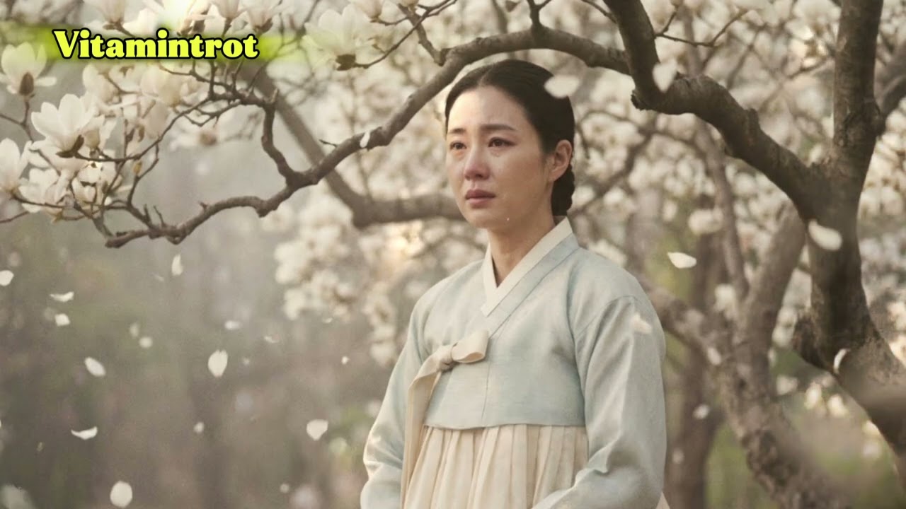 목련 꽃그늘-비타민트로트