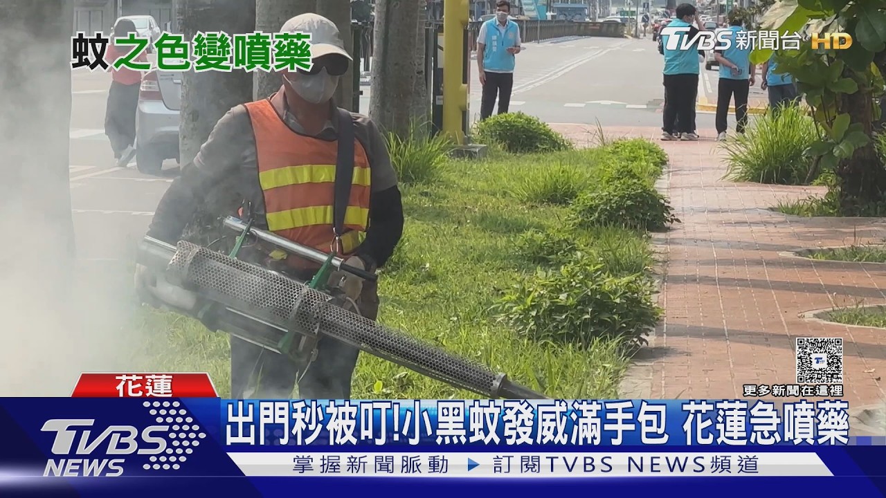 出門秒被叮!小黑蚊發威滿手包 花蓮急噴藥｜TVBS新聞 @TVBSNEWS02
