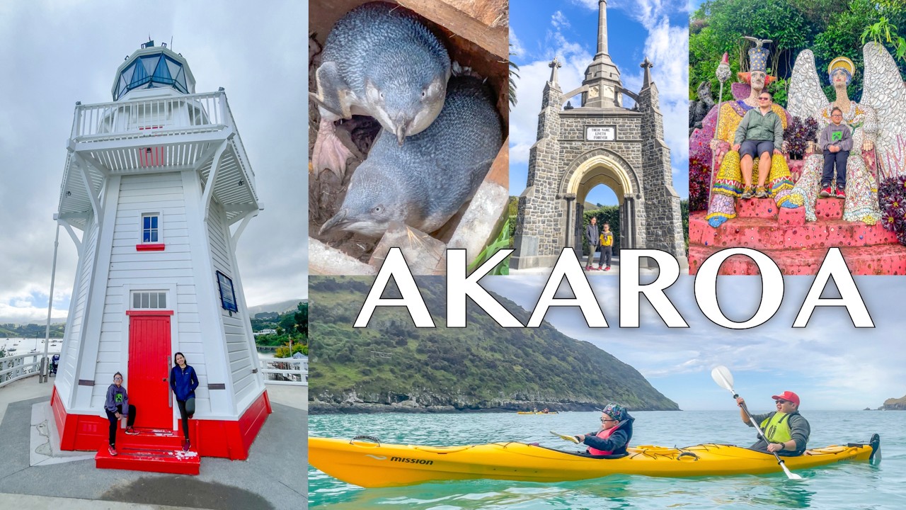 AKAROA ADVENTURE || SEA KAYAKING SAFARI & MORE || NEW ZEALAND