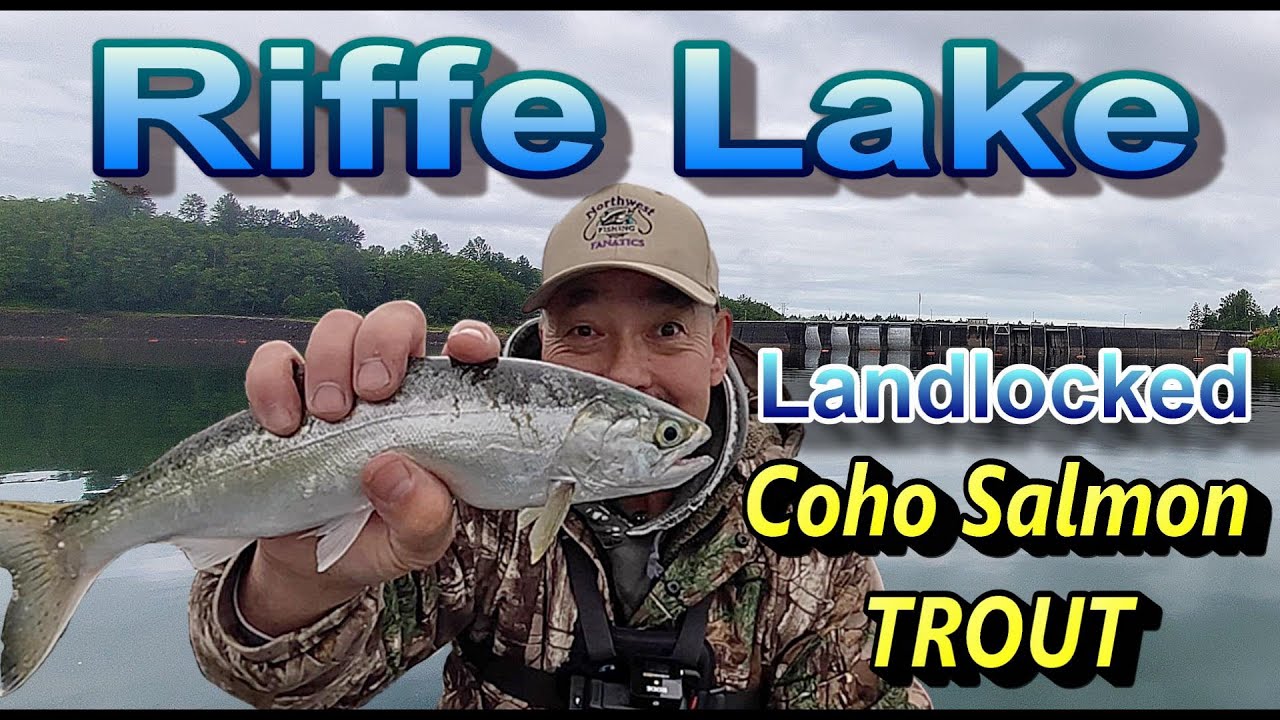 HOW TO CATCH FISH. Plain & Simple Techniques That Work!