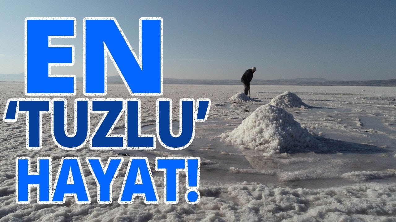 50 Senedir Bur İşi Yapıyor, En 'Tuzlu' Hayat !