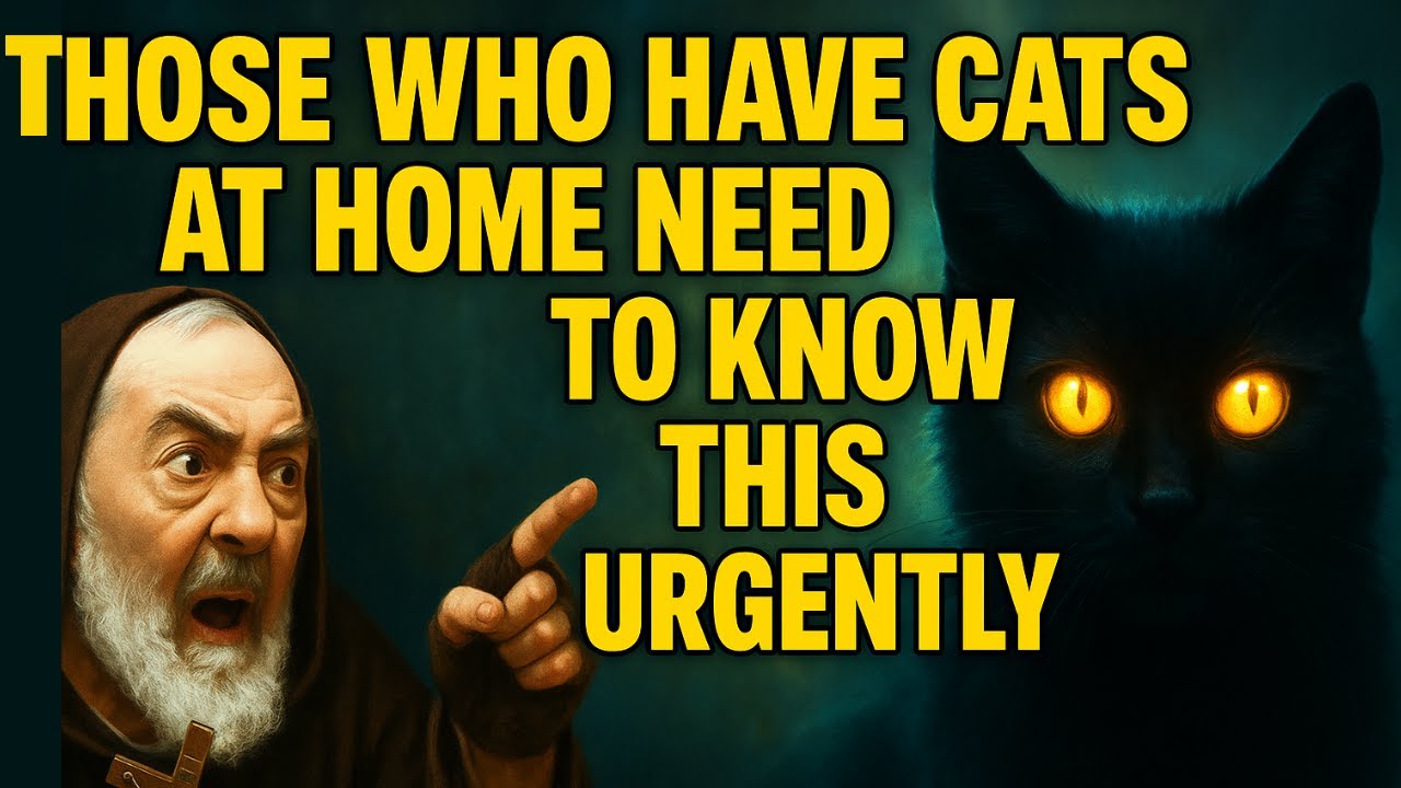 PADRE PIO WARNS: IF YOU HAVE A CAT AT HOME, YOU NEED TO KNOW THIS NOW!